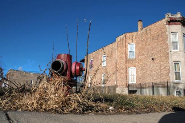 Hoping for 'adrenaline boost' in flagging neighborhoods, Cook County selling more than 4,000 vacant lots